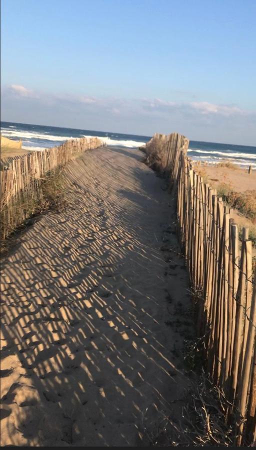 Appartamento Mas PineII 2 - Viu Bé Torroella de Montgrí Esterno foto